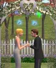 《MOVE派对》免费下载｜单机游戏