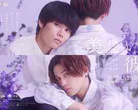 《美丽的他 第二季》免费高清无广告在线播放|日剧·日本·2023