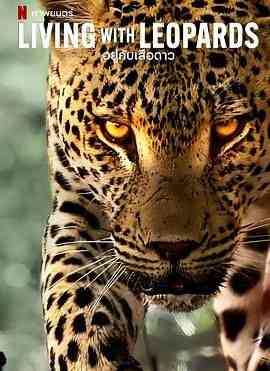 《豹崽同行》免费高清无广告在线播放|纪录片,纪录·英国·2024