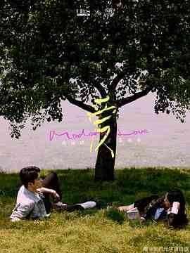 《他们的奇妙时光》免费高清无广告在线播放|剧情,爱情·中国大陆·2024