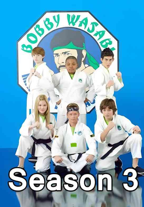 《欢乐道场 第三季》免费高清无广告在线播放|喜剧,动作,家庭·美国·2013