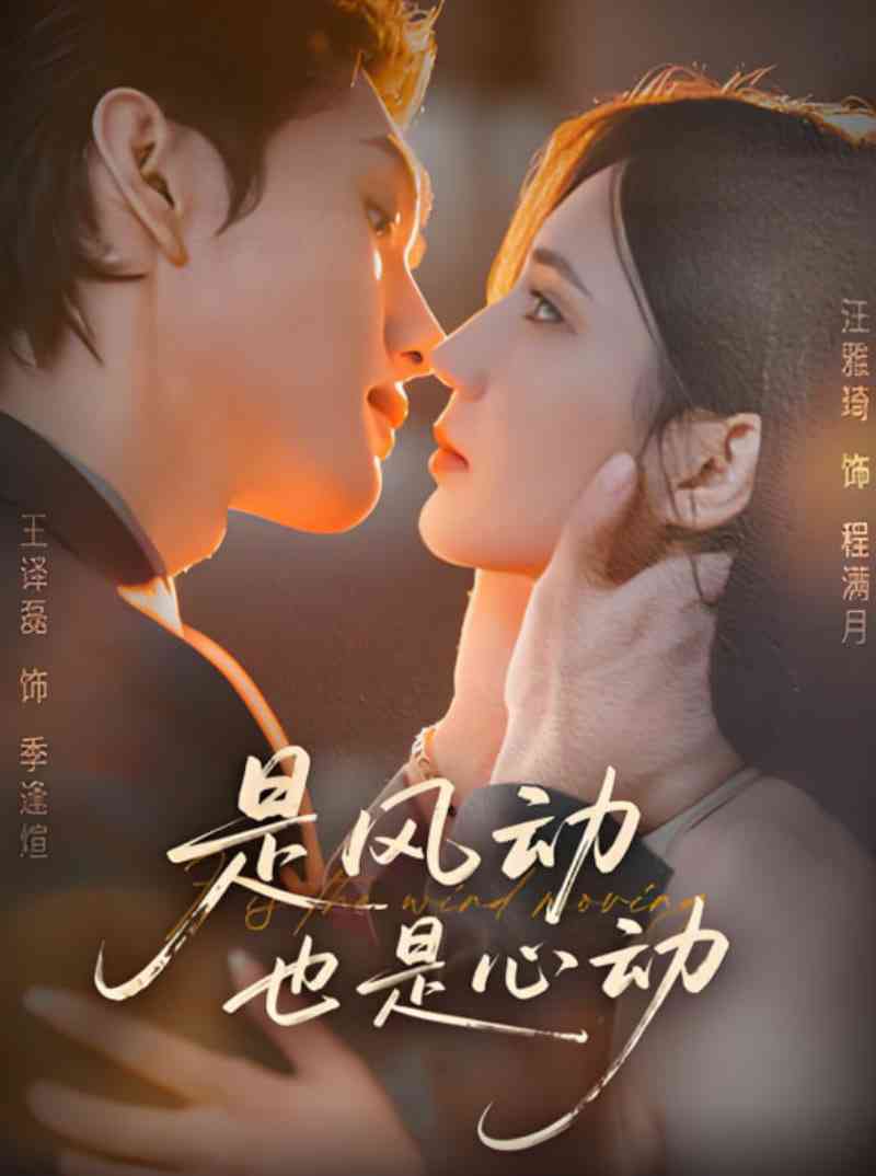 《是风动也是心动》免费高清无广告在线播放|短剧·中国大陆·2025