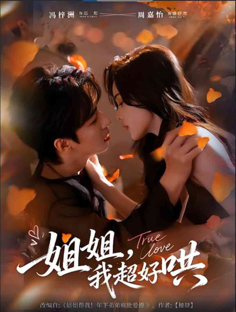 《姐姐，我超好哄》免费高清无广告在线播放|短剧·中国大陆·2025