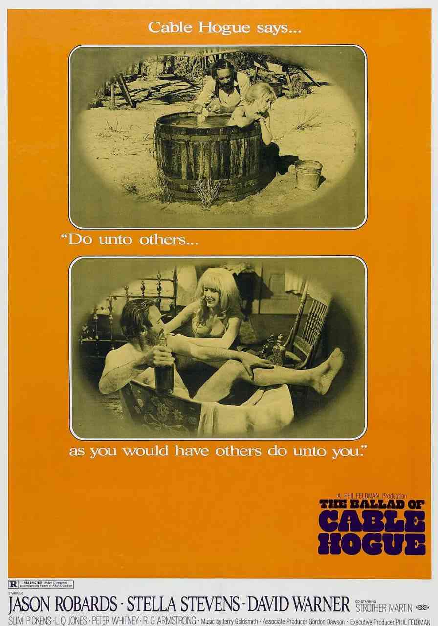 《牛郎血泪美人恩》免费高清无广告在线播放|剧情,喜剧,爱情,西部·美国·1970