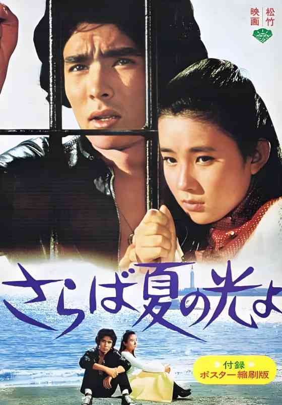 《再见，夏日之光》免费高清无广告在线播放|剧情,爱情·日本·1976