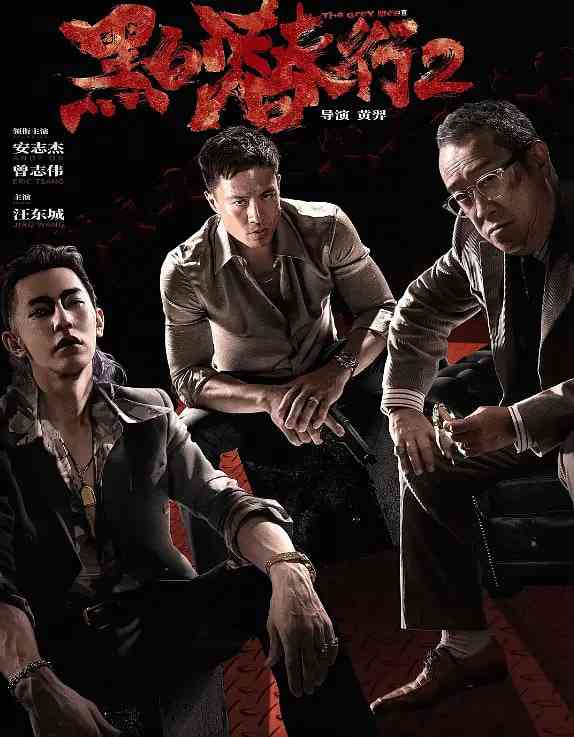 《黑白潜行2》免费高清无广告在线播放|动作,犯罪·中国大陆·2025