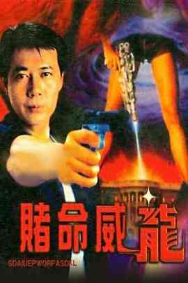 《赌命威龙》免费在线播放｜剧情·中国台湾