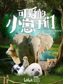 《可爱的小崽子们》免费在线播放｜纪录片,纪录·英国