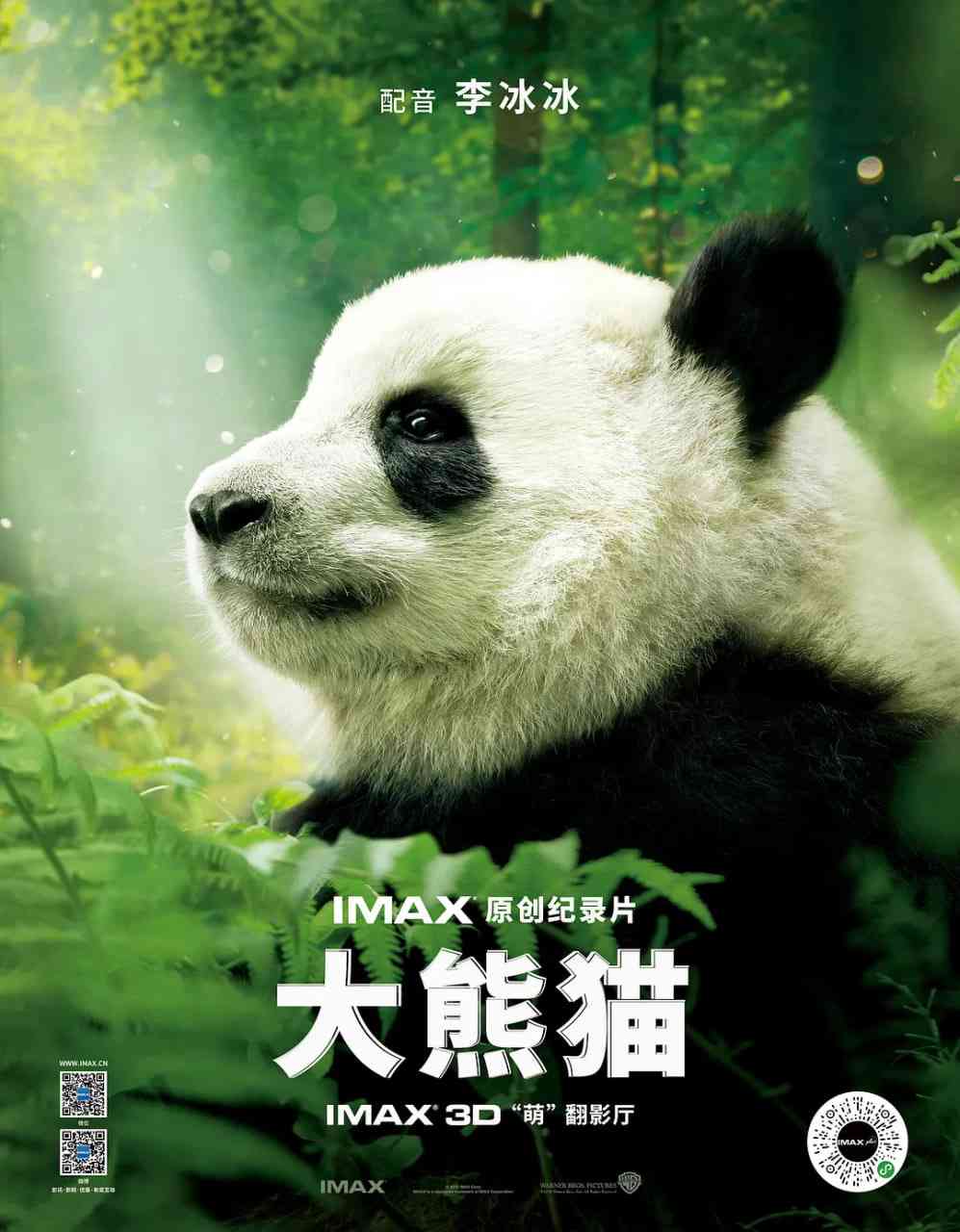 《大熊猫》免费在线播放｜纪录片·美国