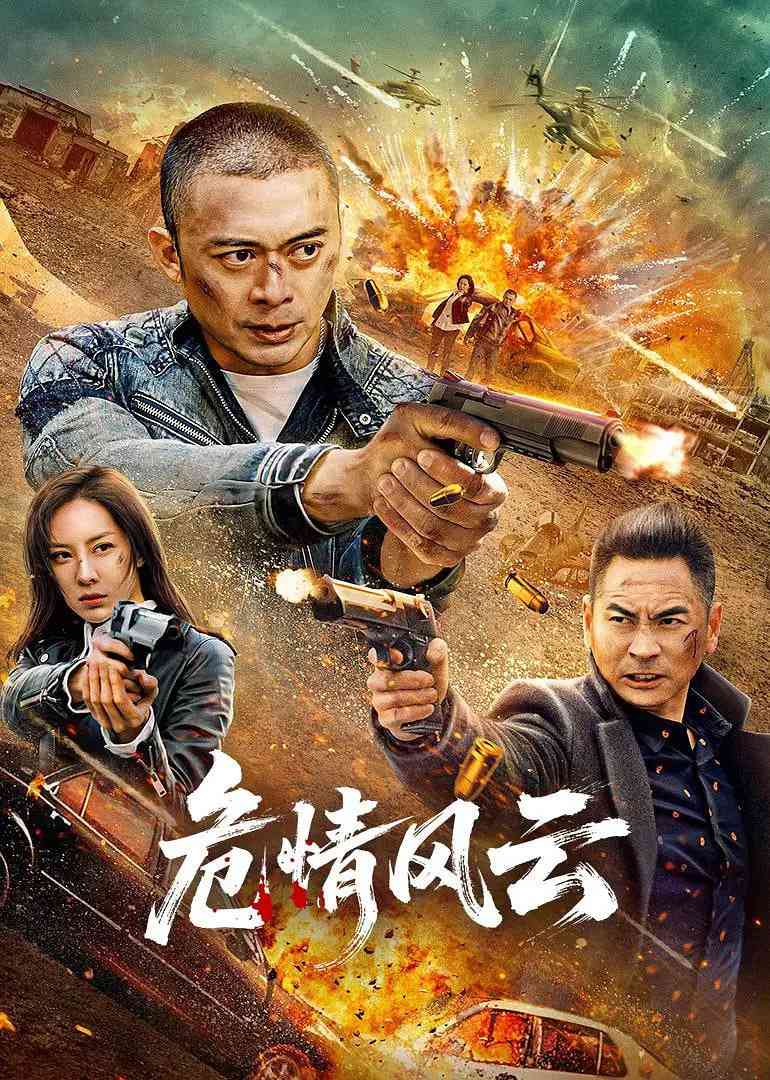 《危情风云》免费在线播放｜剧情,动作,犯罪·中国大陆