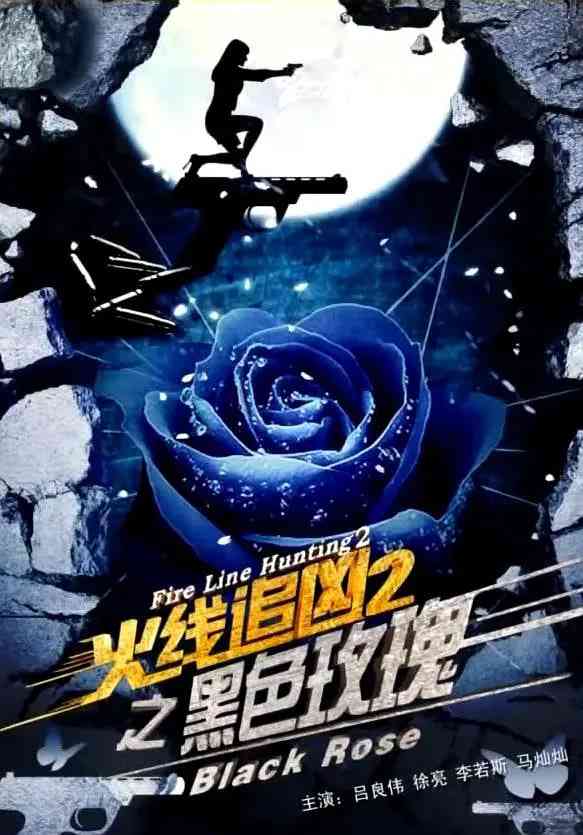 《火线追凶2之黑色玫瑰》免费高清无广告在线播放|犯罪·中国大陆·2013