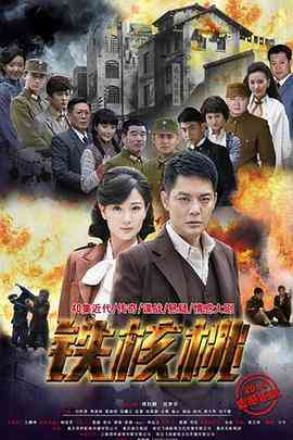 《铁核桃》全集免费高清电视剧无广告在线播放|剧情,战争·中国大陆·2015